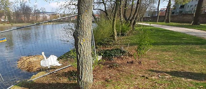 Dies und das aus Sondershausen (Foto: Karl-Heinz Herrmann) Dies und das aus Sondershausen (Foto: Karl-Heinz Herrmann)