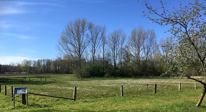 wetter (Foto: oas) wetter (Foto: oas)