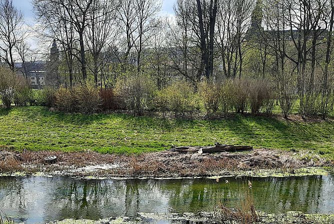 Frühjahrsputz leider ausgefallen (Foto: Karl-Heinz Herrmann) Frühjahrsputz leider ausgefallen (Foto: Karl-Heinz Herrmann)