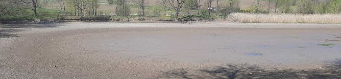 Schlechte Karten für die Kröten (Foto: Karl-Heinz Herrmann) Schlechte Karten für die Kröten (Foto: Karl-Heinz Herrmann)