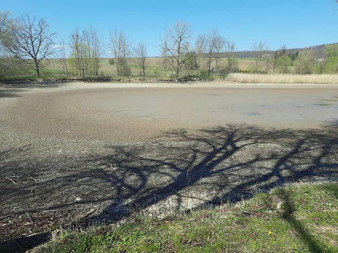 Schlechte Karten für die Kröten (Foto: Karl-Heinz Herrmann) Schlechte Karten für die Kröten (Foto: Karl-Heinz Herrmann)