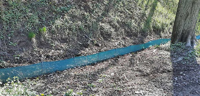 Schlechte Karten für die Kröten (Foto: Karl-Heinz Herrmann) Schlechte Karten für die Kröten (Foto: Karl-Heinz Herrmann)