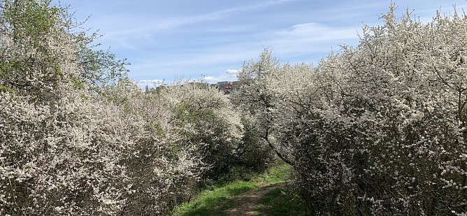 wetter (Foto: oas) wetter (Foto: oas)