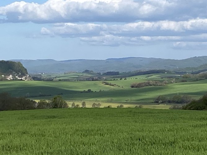 Wandern am Stausee Kelbra (Foto: Familie Friedling) Wandern am Stausee Kelbra (Foto: Familie Friedling)