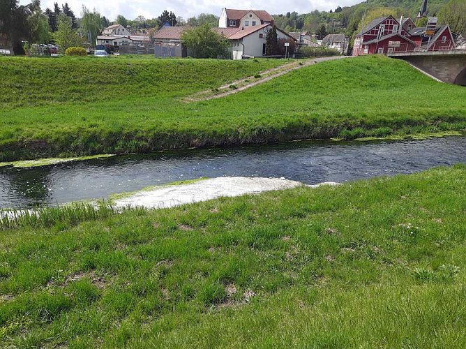 Harmlose Erscheinung (Foto: Karl-Heinz Herrmann) Harmlose Erscheinung (Foto: Karl-Heinz Herrmann)