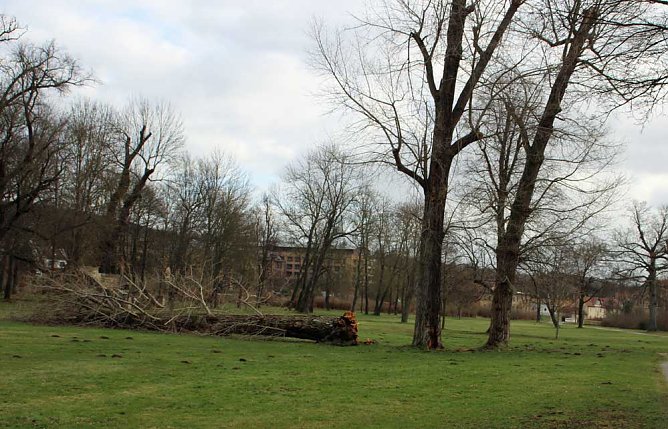 Brandgefahr wegen Trockenheit in den Parkanlagen (Foto: Karl-Heinz Herrmann)