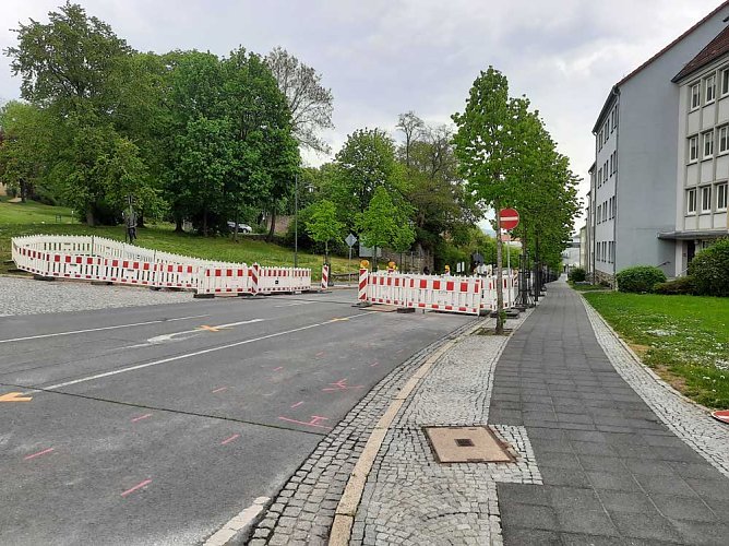 KN auf Fotopirsch (Foto: Karl-Heinz Herrmann)