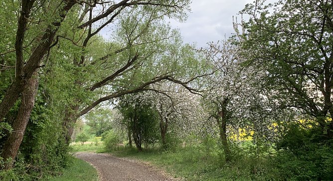 wetter (Foto: oas) wetter (Foto: oas)