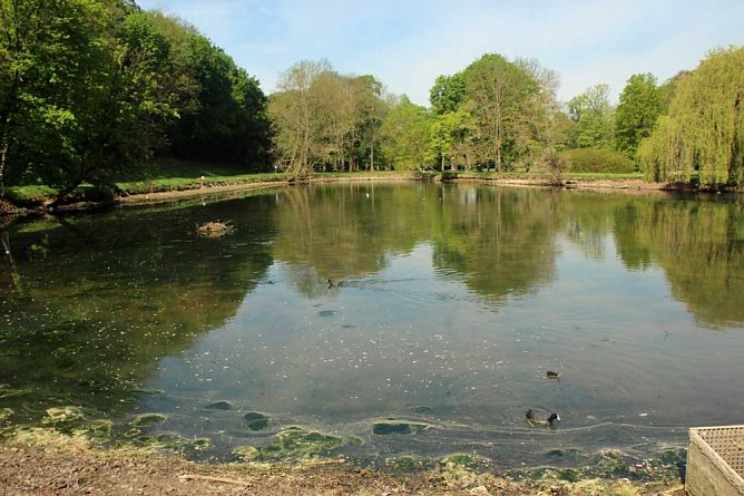 Den Parkteichen von Sondershausen fehlt (e) das Wasser (Foto: Karl-Heinz Herrmann)