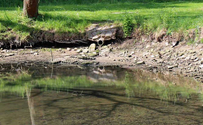 Den Parkteichen von Sondershausen fehlt (e) das Wasser (Foto: Karl-Heinz Herrmann)