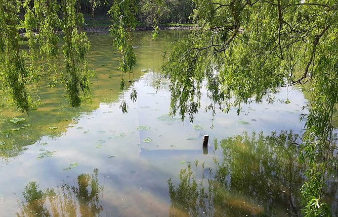 Den Parkteichen von Sondershausen fehlt (e) das Wasser (Foto: Karl-Heinz Herrmann)