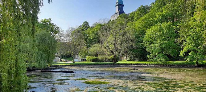 Wipper wird zum Problem f&uuml;r den kleinen Parkteich (Foto: Karl-Heinz Herrmann)