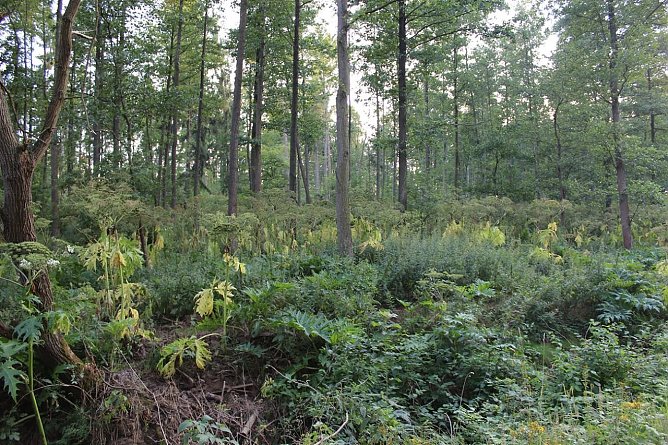 Warnungen in der Wind geschlagen (Foto: Karl-Heinz Herrmann) Warnungen in der Wind geschlagen (Foto: Karl-Heinz Herrmann)
