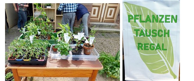 Dieses war der sechste Streich �  Corona zum Trotz! (Foto: Peter Zimmer)