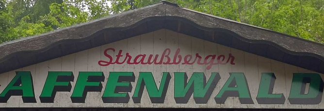 Unternehmen und Corona (Foto: privat)