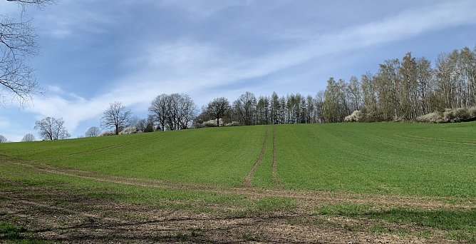 Windlücke (Foto: oas) Windlücke (Foto: oas)