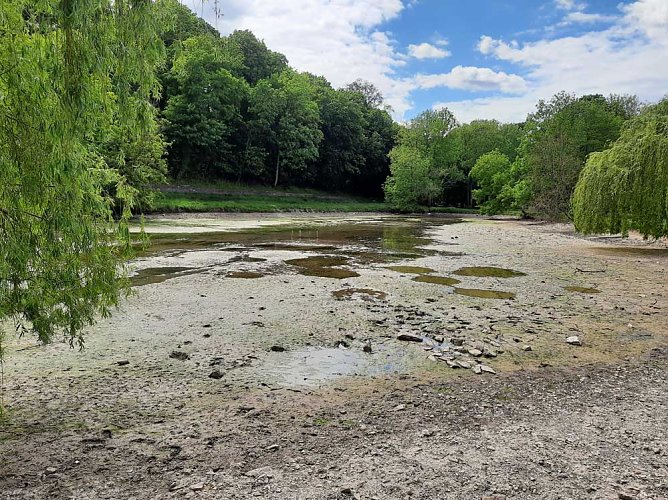 Dreistigkeit kennt keine Grenzen? (Foto: Karl-Heinz Herrmann) Dreistigkeit kennt keine Grenzen? (Foto: Karl-Heinz Herrmann)