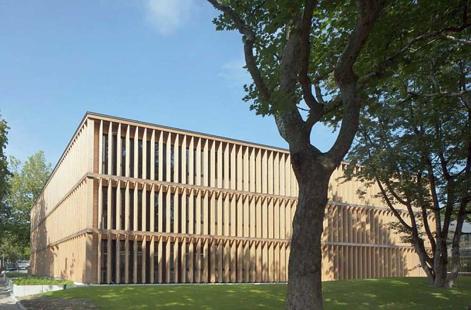 Wie kommt das CO<sub>2</sub> in das Holzbrett? (Foto: Dr. Horst Spro&szlig;mann - Th&uuml;ringenForst)