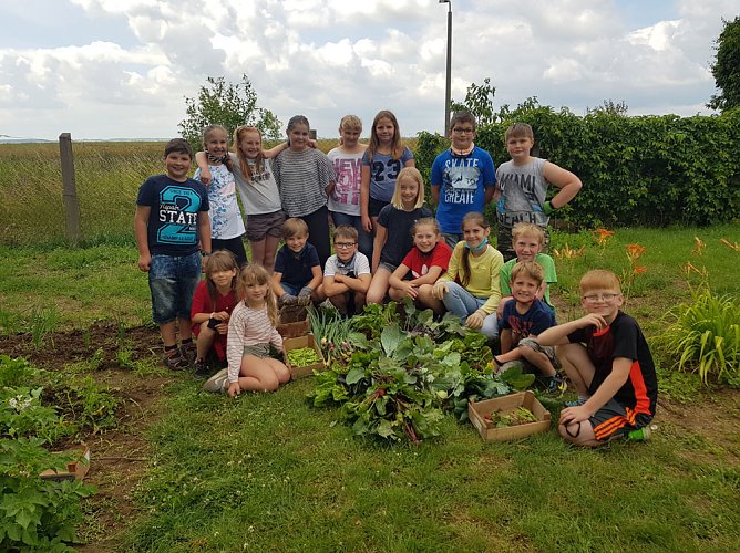 Erste Ernte in dieser Saison (Foto: Isabell Urland)