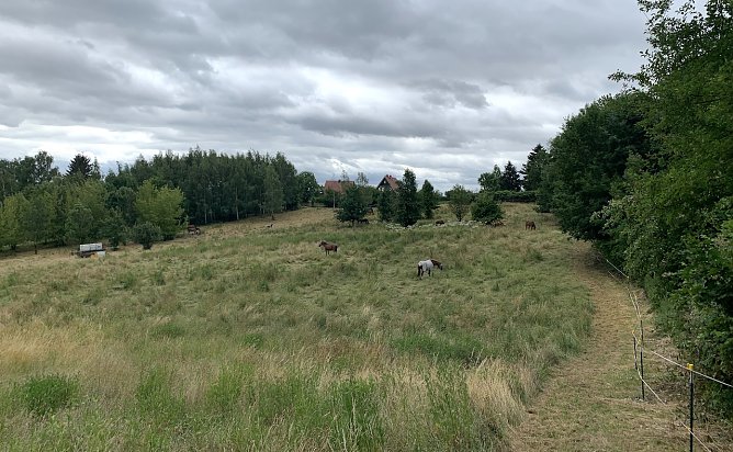 Nordhausen Nord (Foto: oas) Nordhausen Nord (Foto: oas)