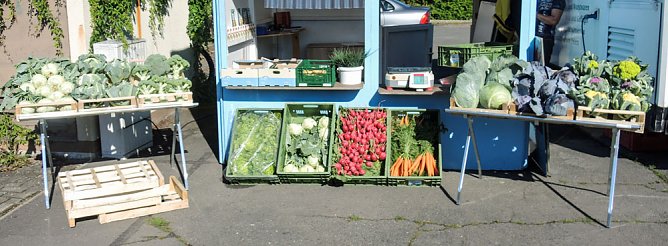 Wo bleibt die Lösung zum Einkaufen? (Foto: privat) Wo bleibt die Lösung zum Einkaufen? (Foto: privat)