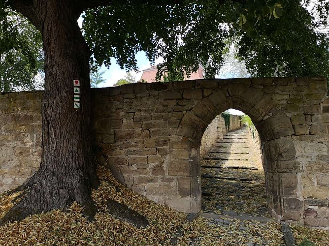 Lesung im Kloster Donndorf (Foto: Kloster Donndorf)
