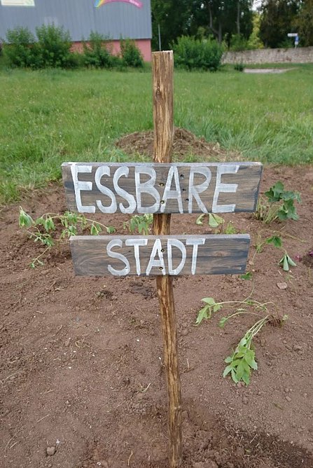 G&Auml;RTNERN & ERNTEN F&Uuml;R ALLE (Foto: Katrin Sieber)