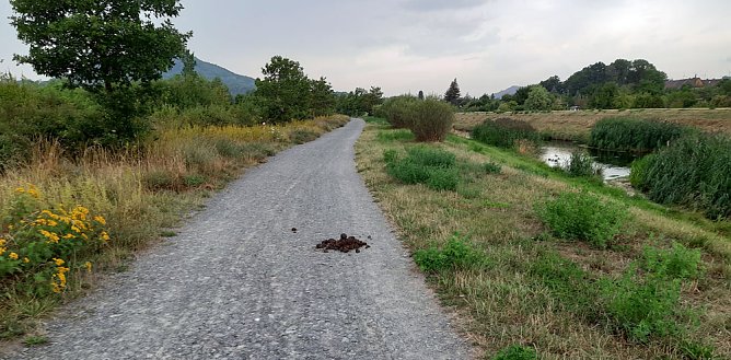 Fernsehen an der Kiesgrube und mehr (Foto: Fernsehen an der Kiesgrube und mehr) Fernsehen an der Kiesgrube und mehr (Foto: Fernsehen an der Kiesgrube und mehr)