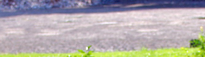 Schlamm (Foto: Karl-Heinz Herrmann) Schlamm (Foto: Karl-Heinz Herrmann)