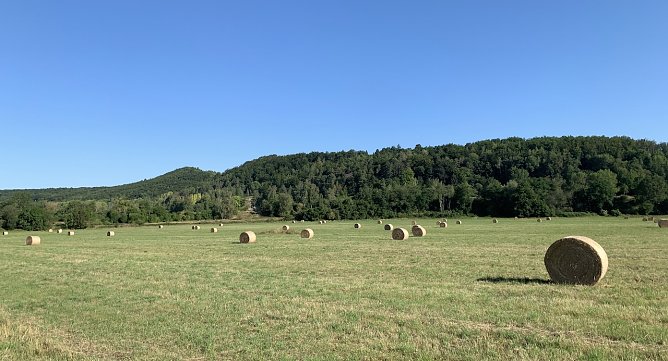 Blick auf den Kohnstein in Nordhausen (Foto: oas) Blick auf den Kohnstein in Nordhausen (Foto: oas)