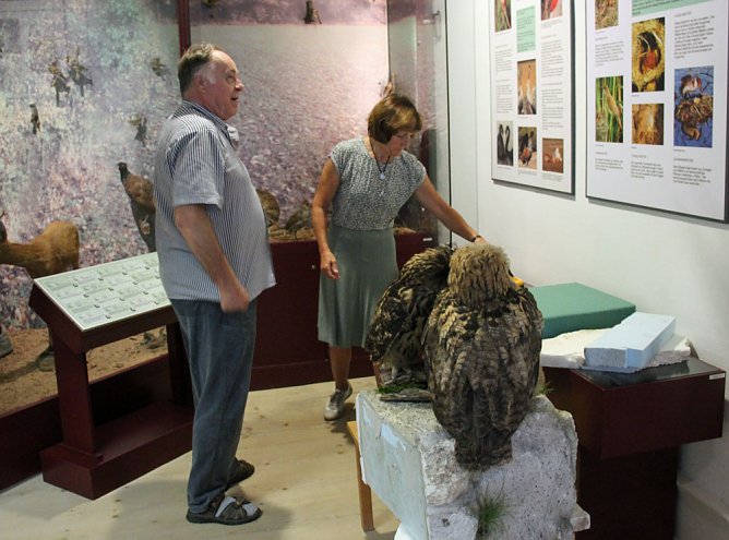 Uhus für das Schlossmuseum (Foto: Karl-Heinz Herrmann) Uhus für das Schlossmuseum (Foto: Karl-Heinz Herrmann)