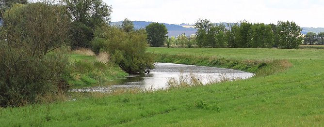 Zur Krokodilsichtung im Kyffh&auml;userkreis (Foto: Silvio Dietzel)