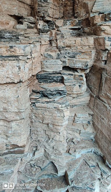 Gef&uuml;hrte geologische Wanderungen zum Tag des GeoTops (Foto: Mareike Naylor)