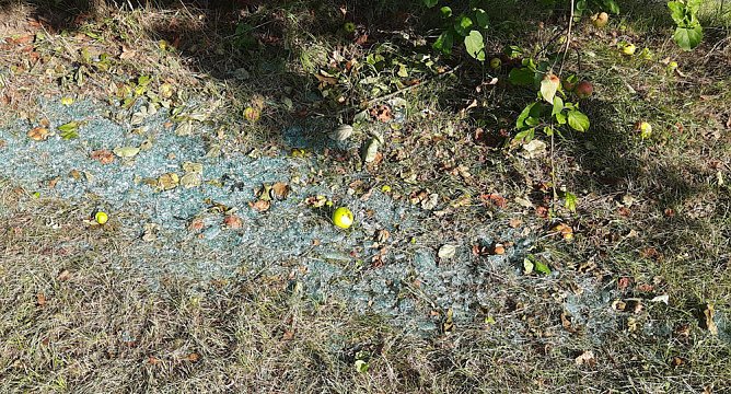 Dies und das aus Sondershausen (Foto: Karl-Heinz Herrmann)