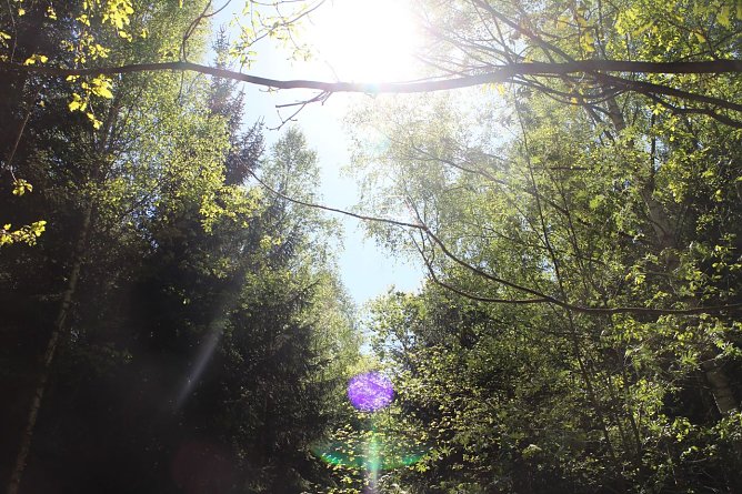 Wetterbild (Foto: agl) Wetterbild (Foto: agl)