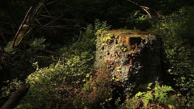 Wetterbild (Foto: agl) Wetterbild (Foto: agl)