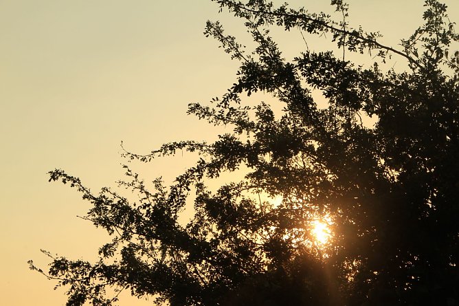 Wetterbild (Foto: agl) Wetterbild (Foto: agl)