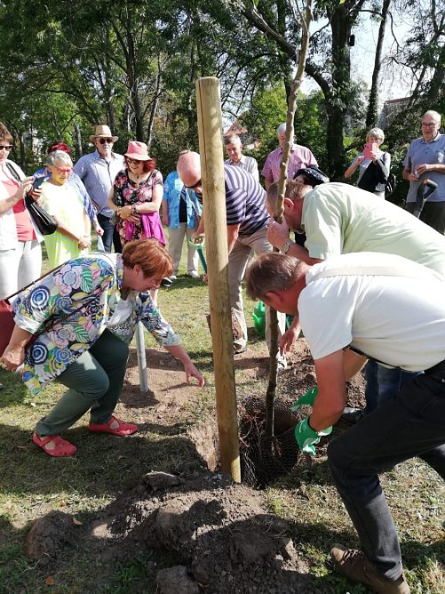 Goldenes Abitur 2020 (Abiturjahrgang 1966-1970) (Foto: Frau Mäder) Goldenes Abitur 2020 (Abiturjahrgang 1966-1970) (Foto: Frau Mäder)