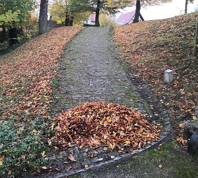 Laubfegen im Schlosspark Ebeleben (Foto: privat)