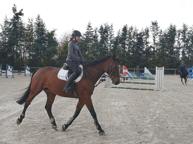 In Bellstedt Reitplatz saniert und eingeweiht (Foto: privat)