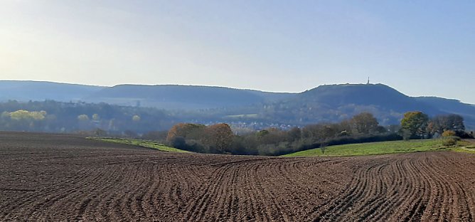 In Scharen in die Natur (Foto: Karl-Heinz Herrmann) In Scharen in die Natur (Foto: Karl-Heinz Herrmann)
