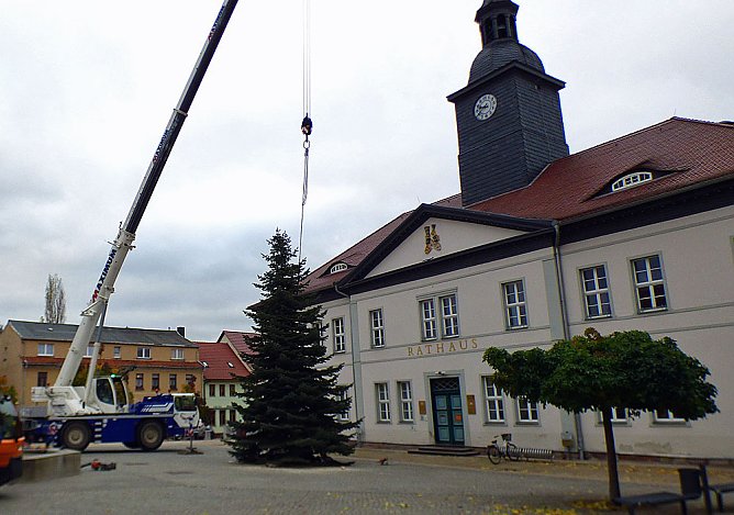 Weihnachtsmeldungen aktuell (Foto: Peter Möbius) Weihnachtsmeldungen aktuell (Foto: Peter Möbius)