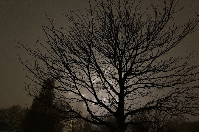 Beim Feuerwerk zu Martini (Foto: oas) Beim Feuerwerk zu Martini (Foto: oas)