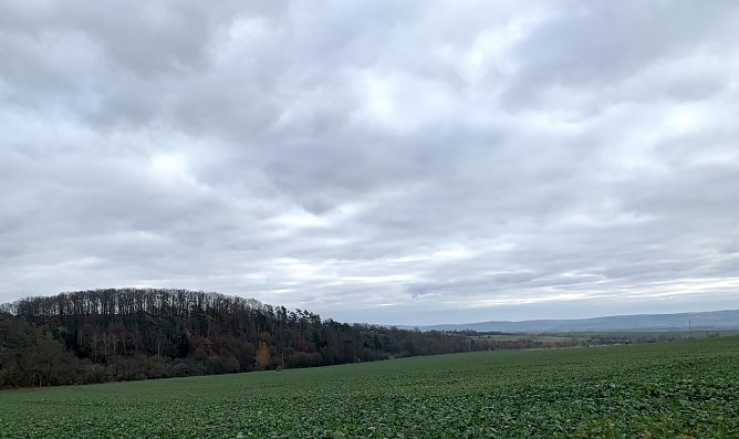 Blick auf das Kyfh&auml;usergebirge (Foto: oas)
