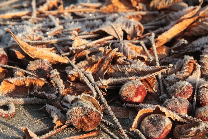 Wetterbild (Foto: agl) Wetterbild (Foto: agl)