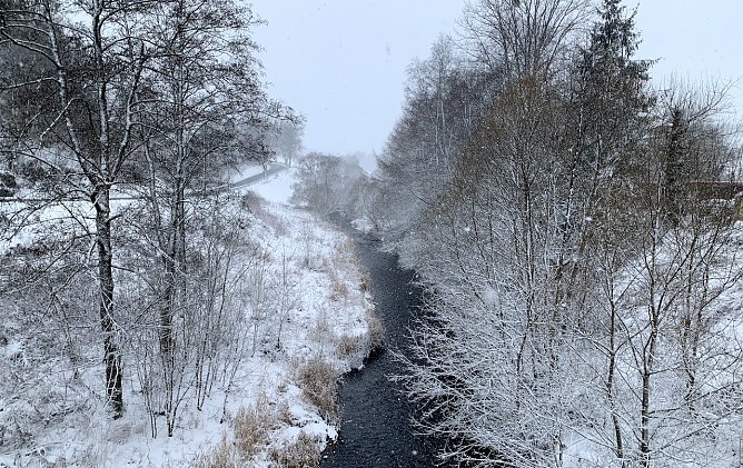 Blick von der Br&uuml;cke in Tanne im Harz (Foto: oas)