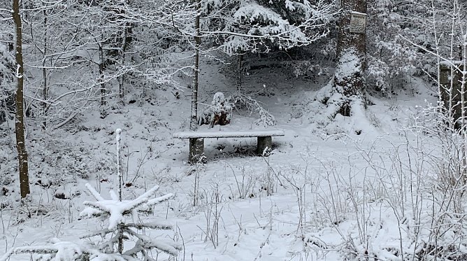 Winteridyll bei Benneckenstein (Foto: oas) Winteridyll bei Benneckenstein (Foto: oas)