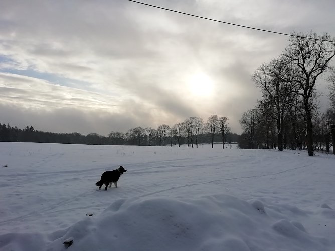 Im oberen Harz (Foto: W.Jörgens) Im oberen Harz (Foto: W.Jörgens)