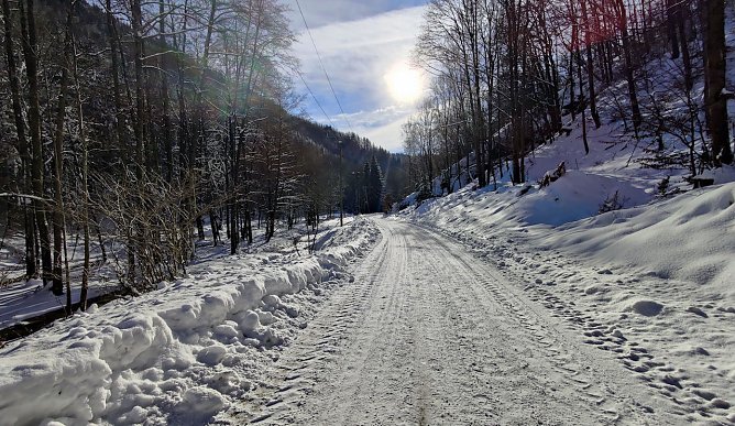 Im Brandesbachtal (Foto: P.Blei) Im Brandesbachtal (Foto: P.Blei)