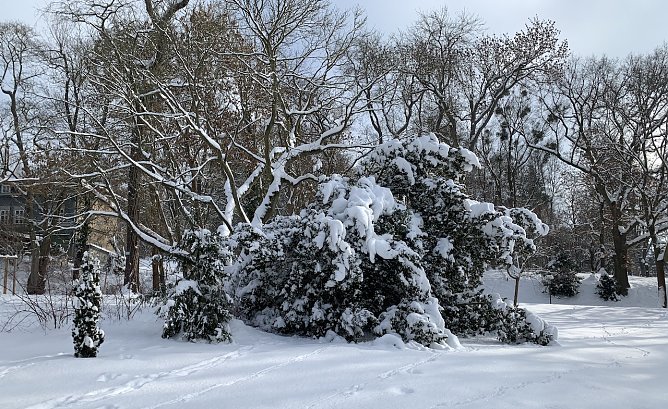 Park Hohenrode in Nordhausen (Foto: oas) Park Hohenrode in Nordhausen (Foto: oas)
